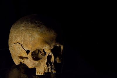 Close-up of human skull against black background