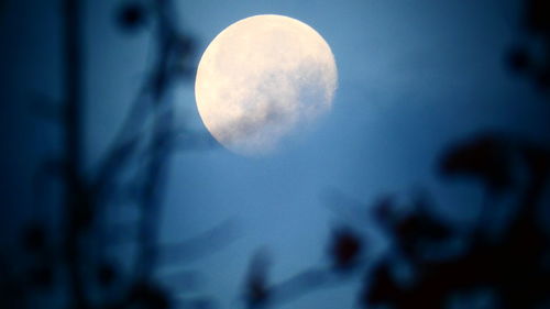 Low angle view of moon against sky at night