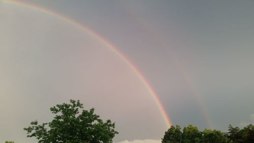 Low angle view of rainbow over trees