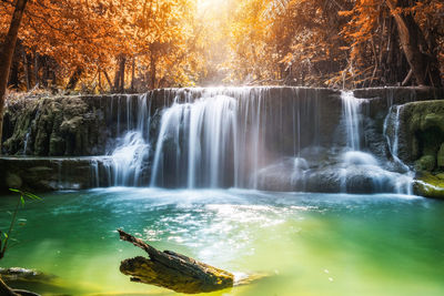 Scenic view of waterfall in forest