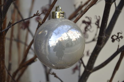 Close-up of christmas decoration hanging on tree