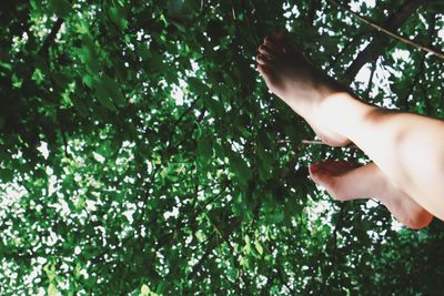 Cropped image of woman standing on tree trunk