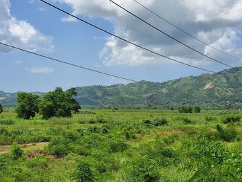 Scenic view of landscape against sky