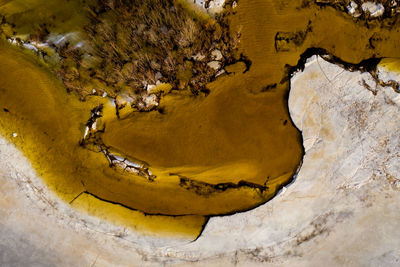 High angle view of damaged tree