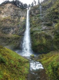 View of waterfall along trees