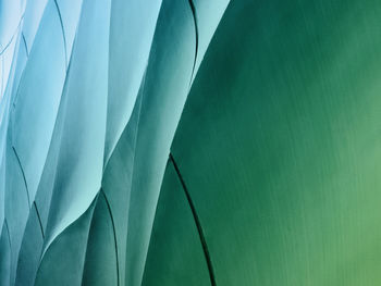 Full frame background of curve pattern on green wall