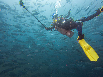 Scuba diving in sea