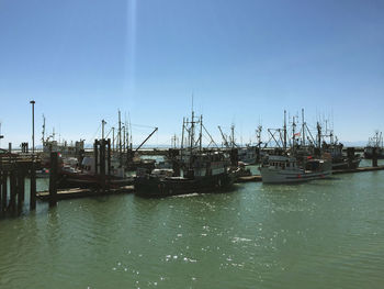 Sailboats moored at harbor against clear sky