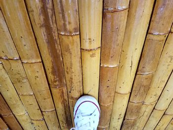 Low section of shoes on wood