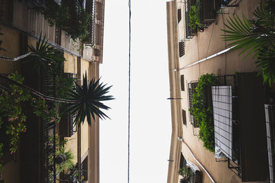 Low angle view of palm trees by building against sky