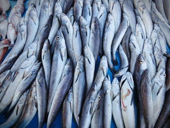 Full frame shot of fish for sale in market