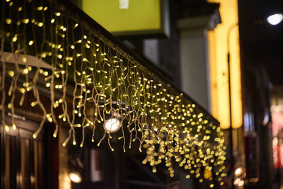 Illuminated light bulb