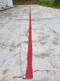 High angle view of zebra crossing on road