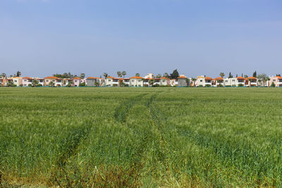 View of grassy field against clear sky