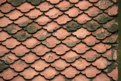 Full frame shot of patterned roof