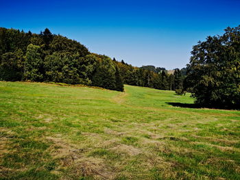 Scenic view of field against clear blue sky