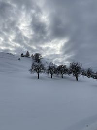 Trees on snow covered field against sky