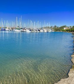 Sailboats in sea against clear blue sky