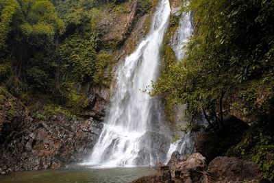 Scenic view of waterfall in forest