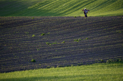 Full length of man working on field