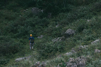 Rear view of man with backpack standing in forest