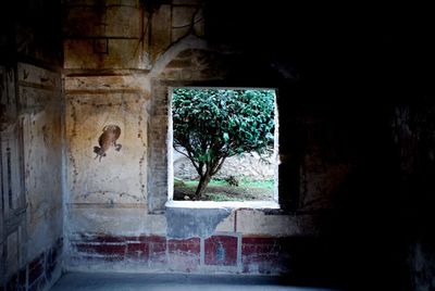 Built structure with trees in background