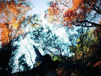 Low angle view of trees against sky
