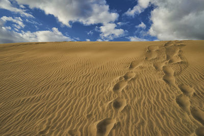 Scenic view of desert against sky