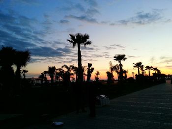 Silhouette of palm trees at sunset