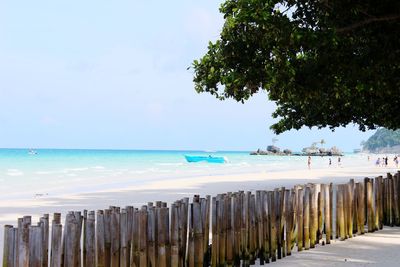 The beauty of nature, boracay, philippines