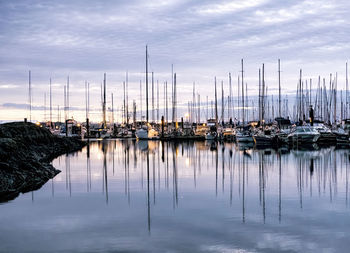 Boats moored at harbor against sky