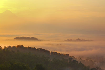 Scenic view of trees against sky during sunrise