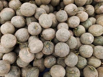 Full frame shot of melons for sale at market stall