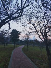 Bare trees on landscape against sky