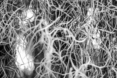 Close-up of fishing net