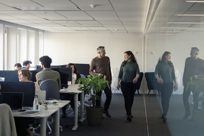 Two professionals discussing in office