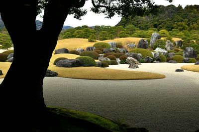 Rocks and plants at adachi museum of art