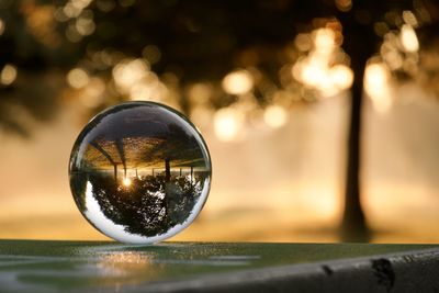 Close-up of crystal ball on table against trees during dawn 