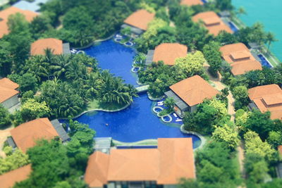 Houses with trees in background