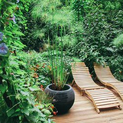 High angle view of potted plants in yard