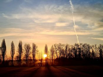 Silhouette trees against sky during sunset