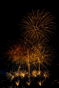 Low angle view of firework display at night