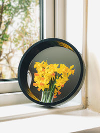 Yellow daffodil reflection in the mirror