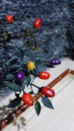 Close-up of cherry tomatoes on table