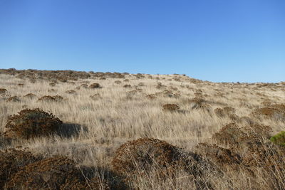 Scenic view of land against clear blue sky