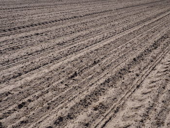 Full frame shot of agricultural field