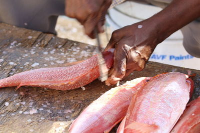 Close-up of hand preparing fish