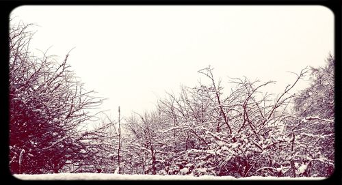 Snow covered landscape