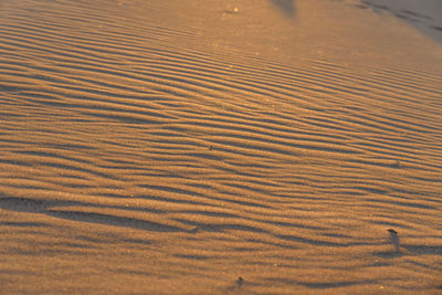 Full frame shot of sand dune