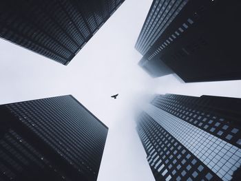 Low angle view of bird flying amidst building in city against sky